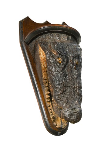 Lot 661 - Taxidermy, a Mugger Crocodile head mount console (Crocodylus palustris), late 19th/early 20th century