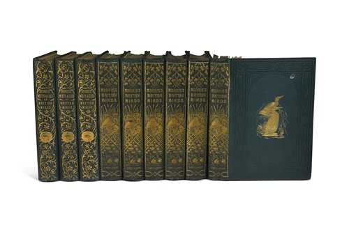 Lot 313 - MORRIS (Rev. F O)