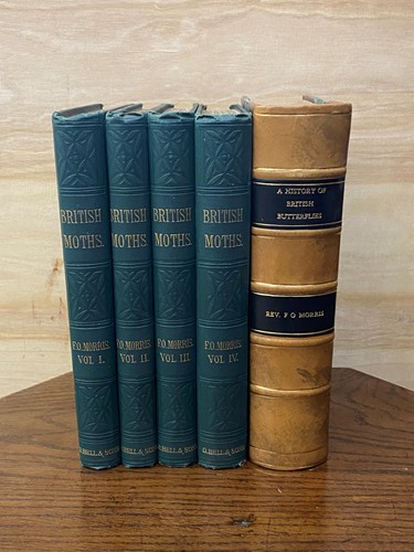 Lot 315 - MORRIS (Rev. F O)