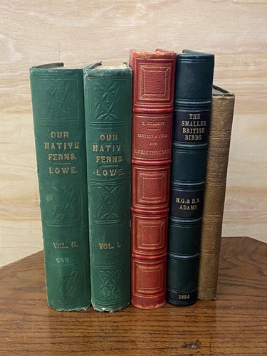 Lot 316 - Natural History. ADAMS (H & H)
