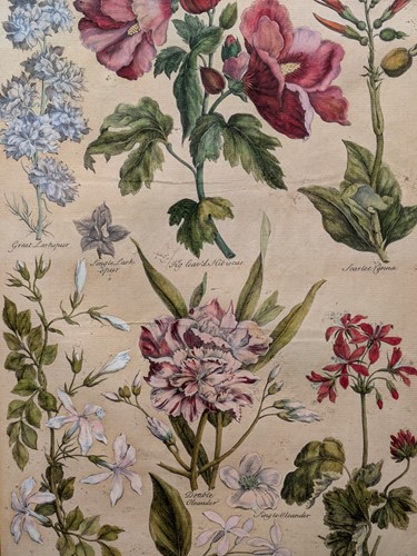 Lot 364 - After C. Edwards (19th Century) (2)