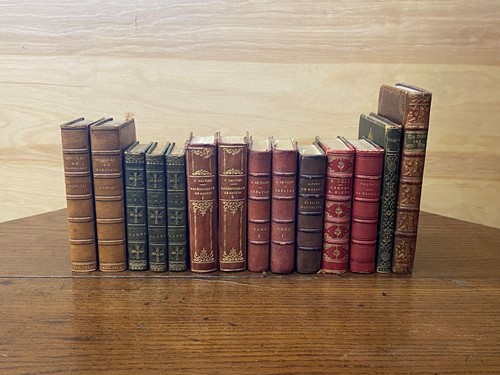 Lot 205 - Bindings, literature, miniatures.