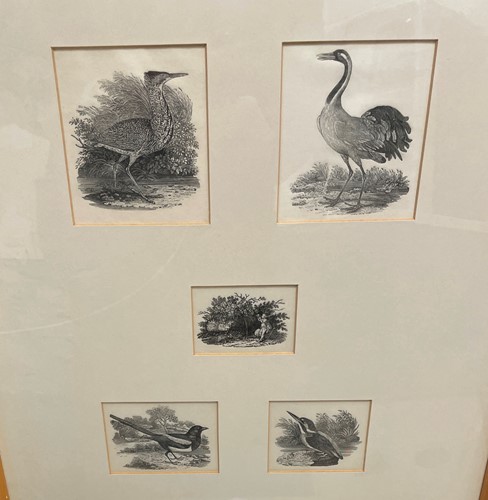 Lot 17 - Thomas Bewick