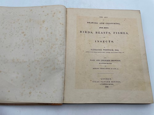 Lot 264 - WHITTOCK (Nathaniel)