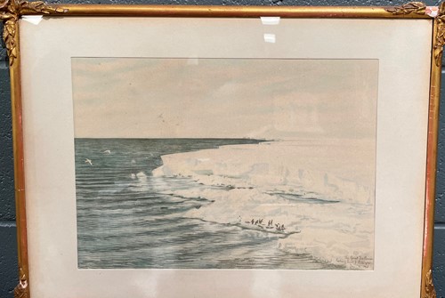 Lot 353 - After Dr. Edward Adrian Wilson