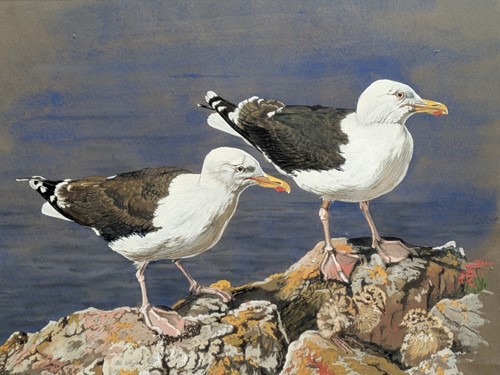 Lot 425 - J. Pashley (20th Century British)