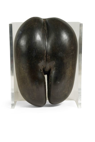 Lot 629 - A carved and polished Coco de Mer