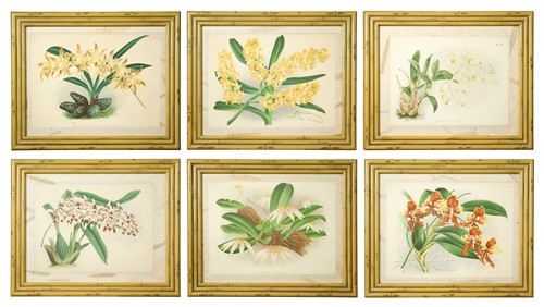 Lot 638 - Jean Jules, Lucien Linden and Émile Rodigas, late 19th century