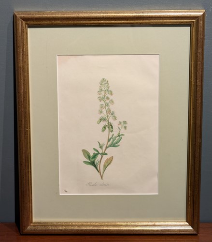 Lot 221 - A collection of five decorative coloured...