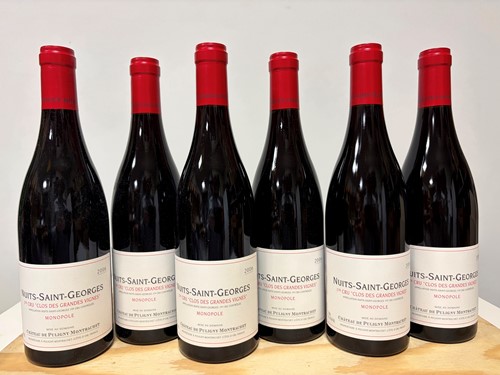 Lot 29 - Nuits-St-Georges 1er Cru 2006