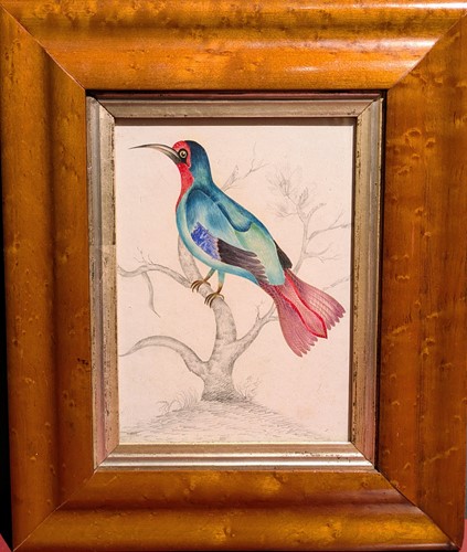Lot 439 - Indian School, 19th century (2)