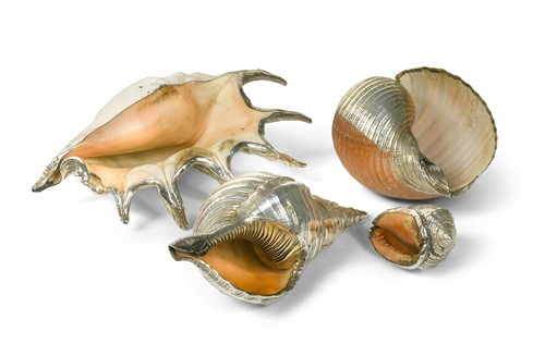 Lot 398 - A collection of silver-plated seashells, modern