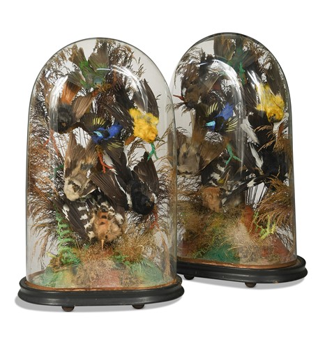 Lot 667 - A pair of Victorian taxidermy displays of exotic birds
