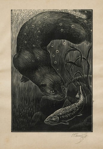 Lot 278 - Charles Frederick Tunnicliffe OBE, RA (British, 1901-1979)